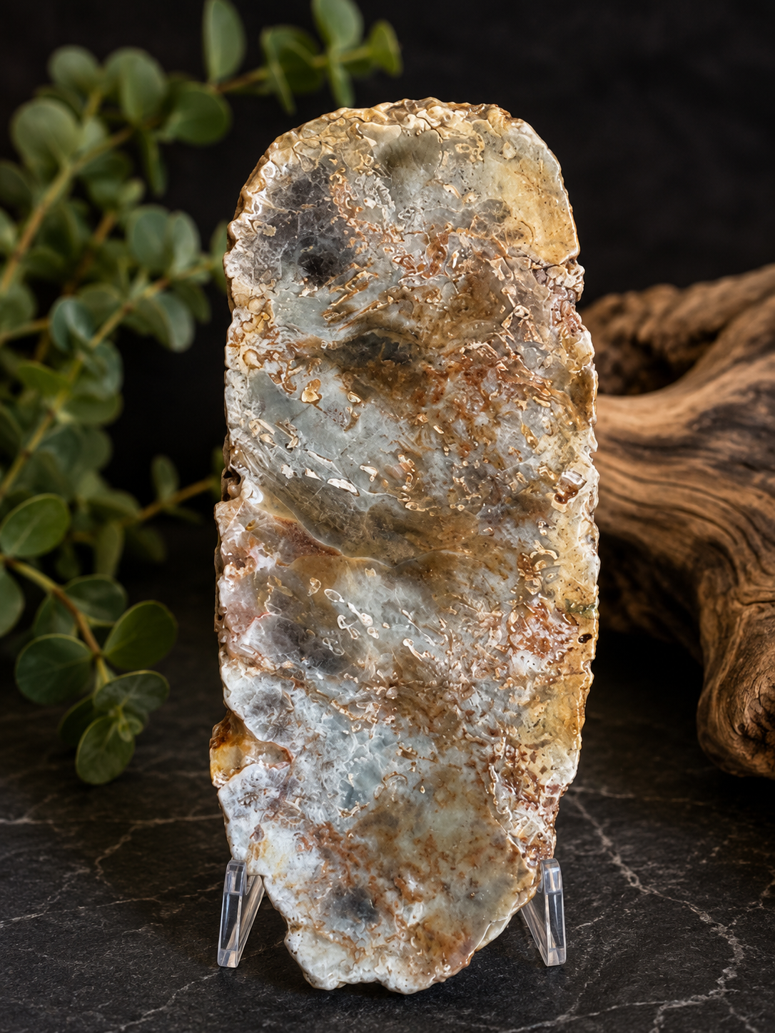 CREEK WHISPERS, AUSTRALIAN STONE SPEICMAN