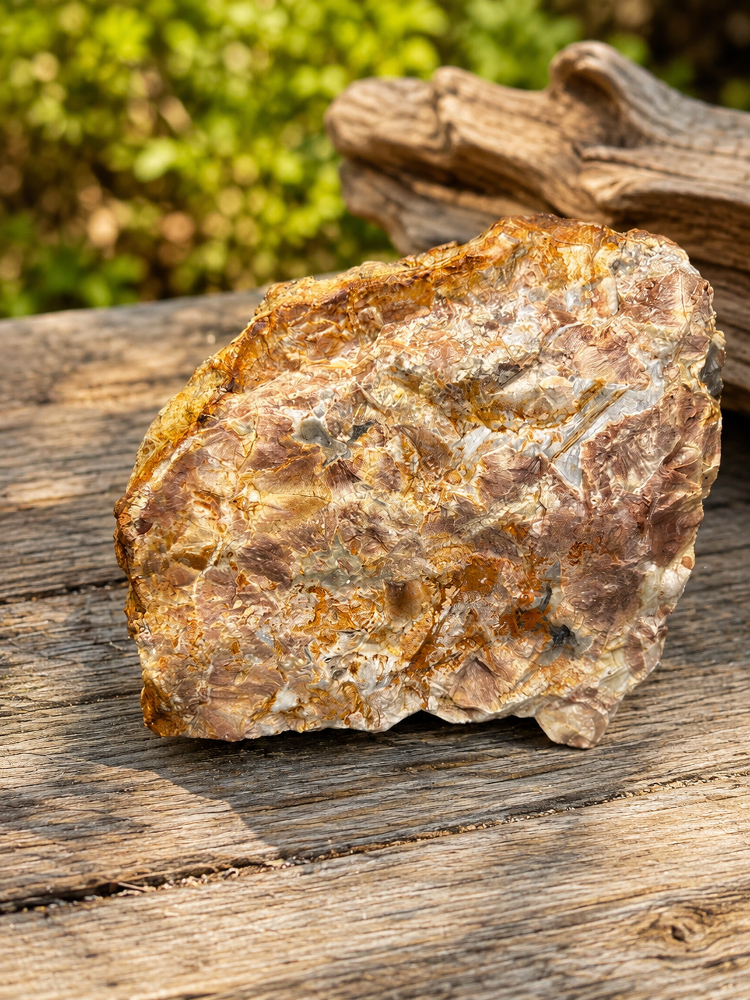 ate Rough Specimen – Natural Lapidary Stone – SE Queensland