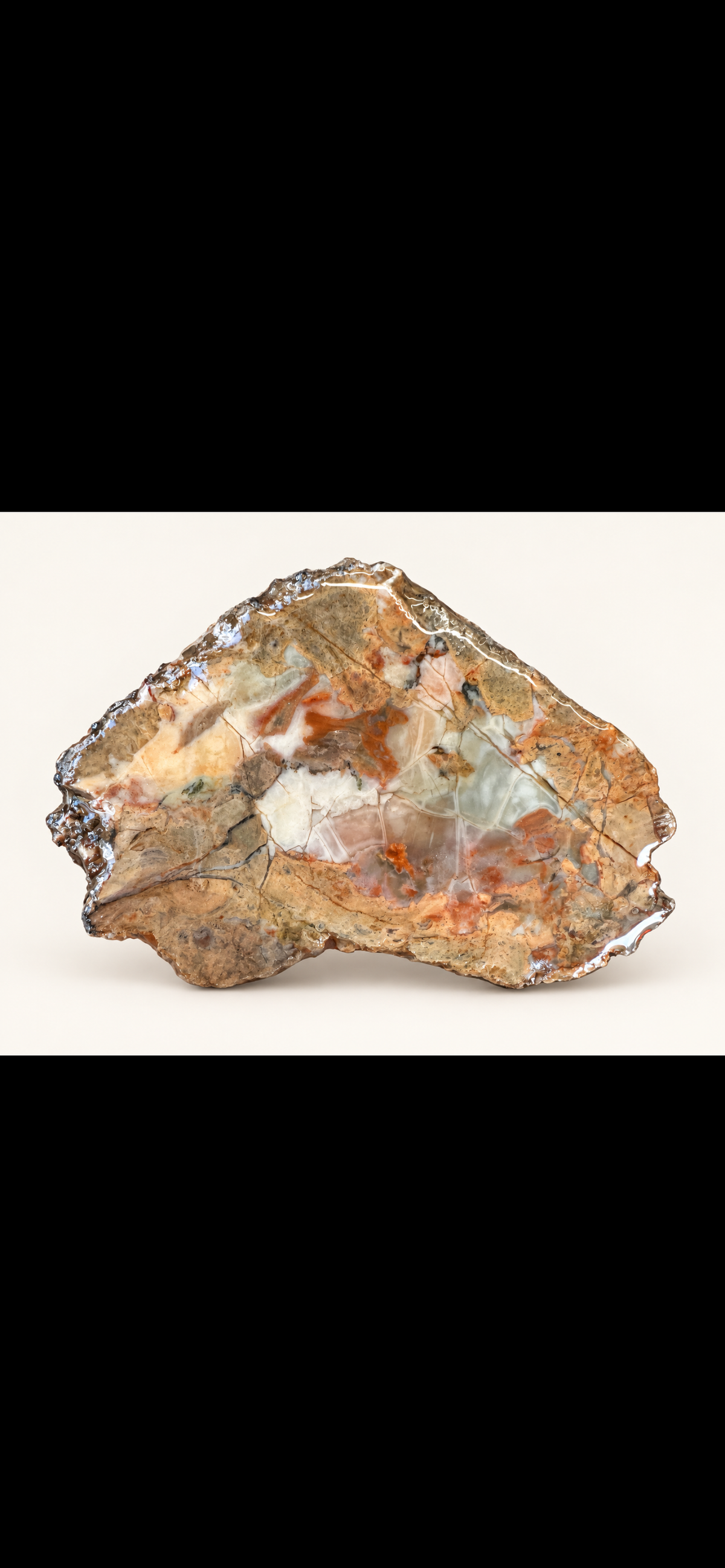 Earthbound Mosaic – One-of-a-Kind Polished Stone Specimen