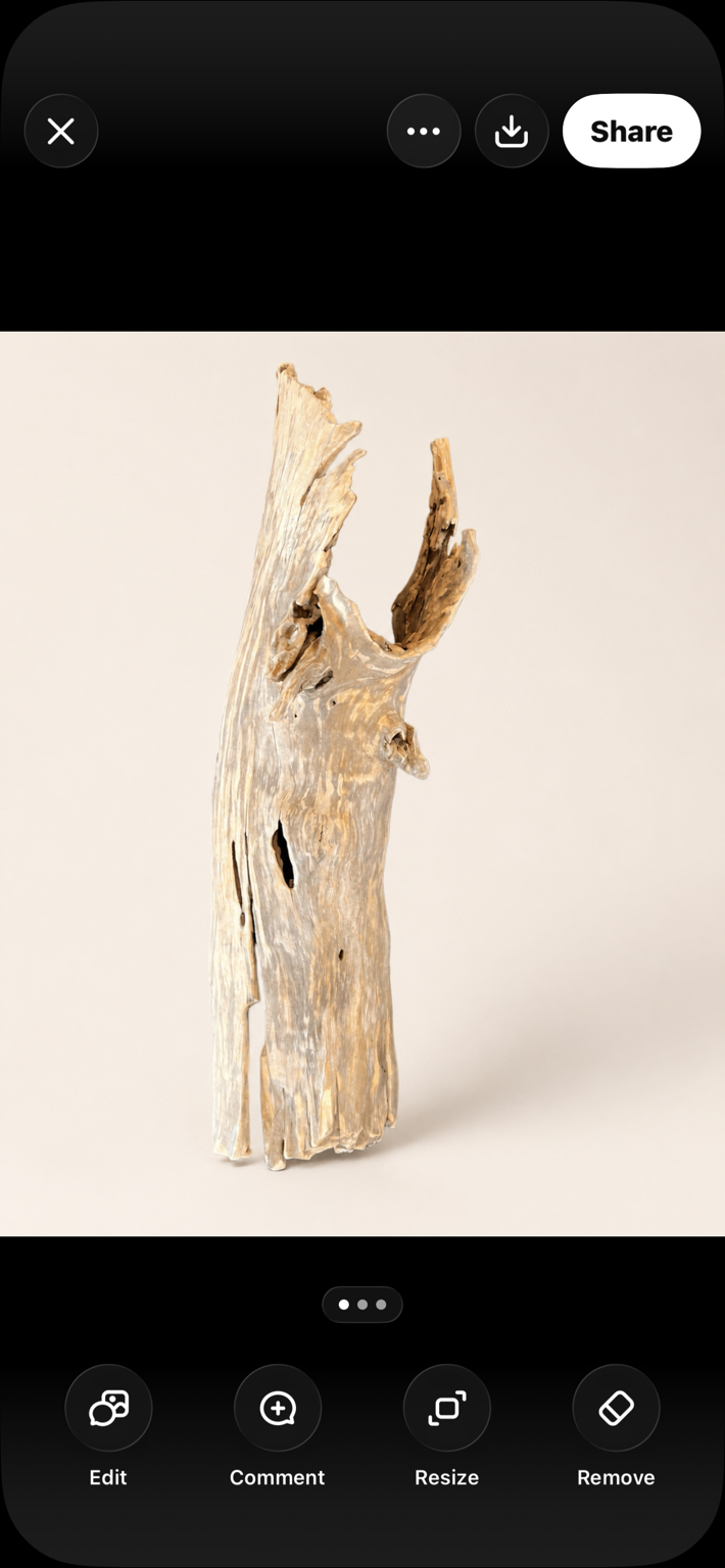 Natural Sculptural Driftwood – One-of-a-Kind Rustic Display Piece