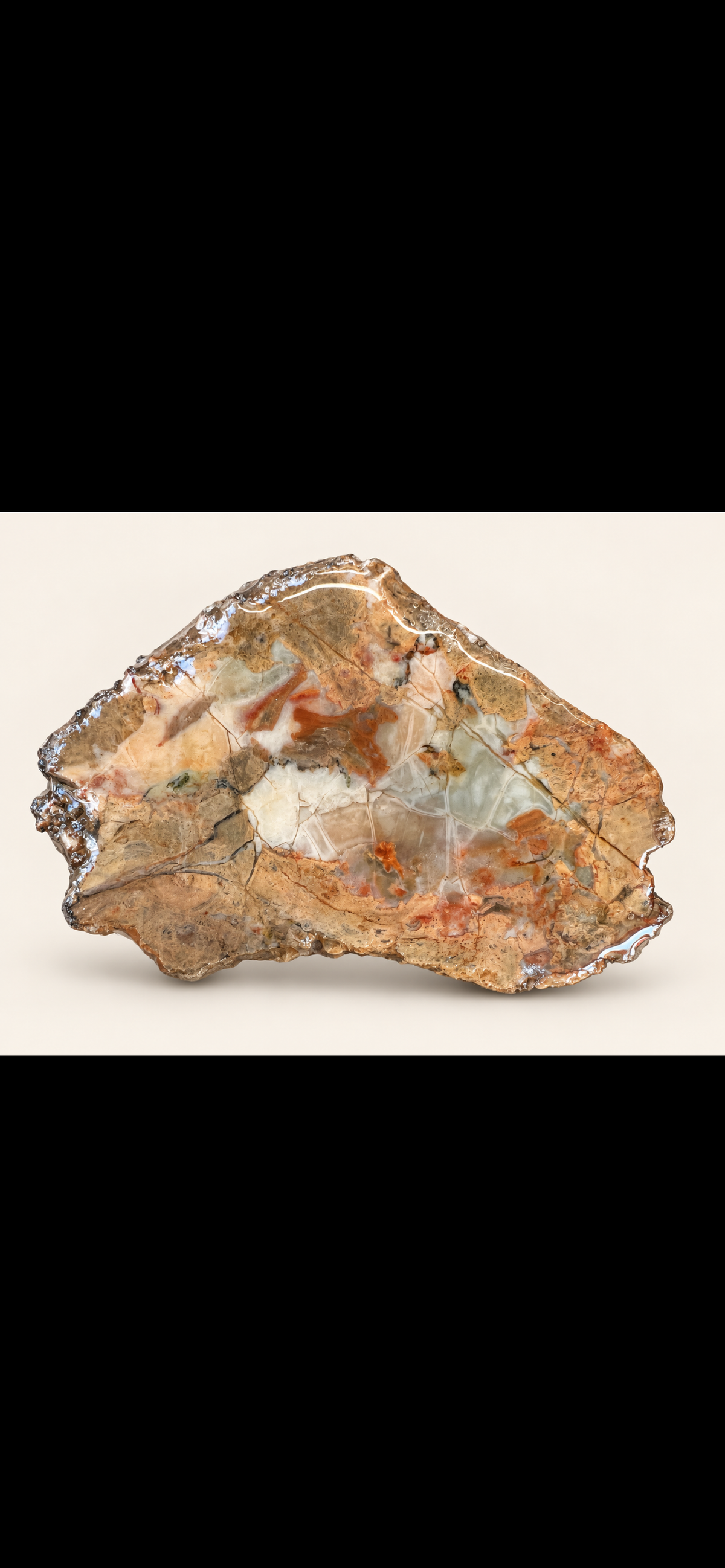 Earthbound Mosaic – One-of-a-Kind Polished Stone Specimen