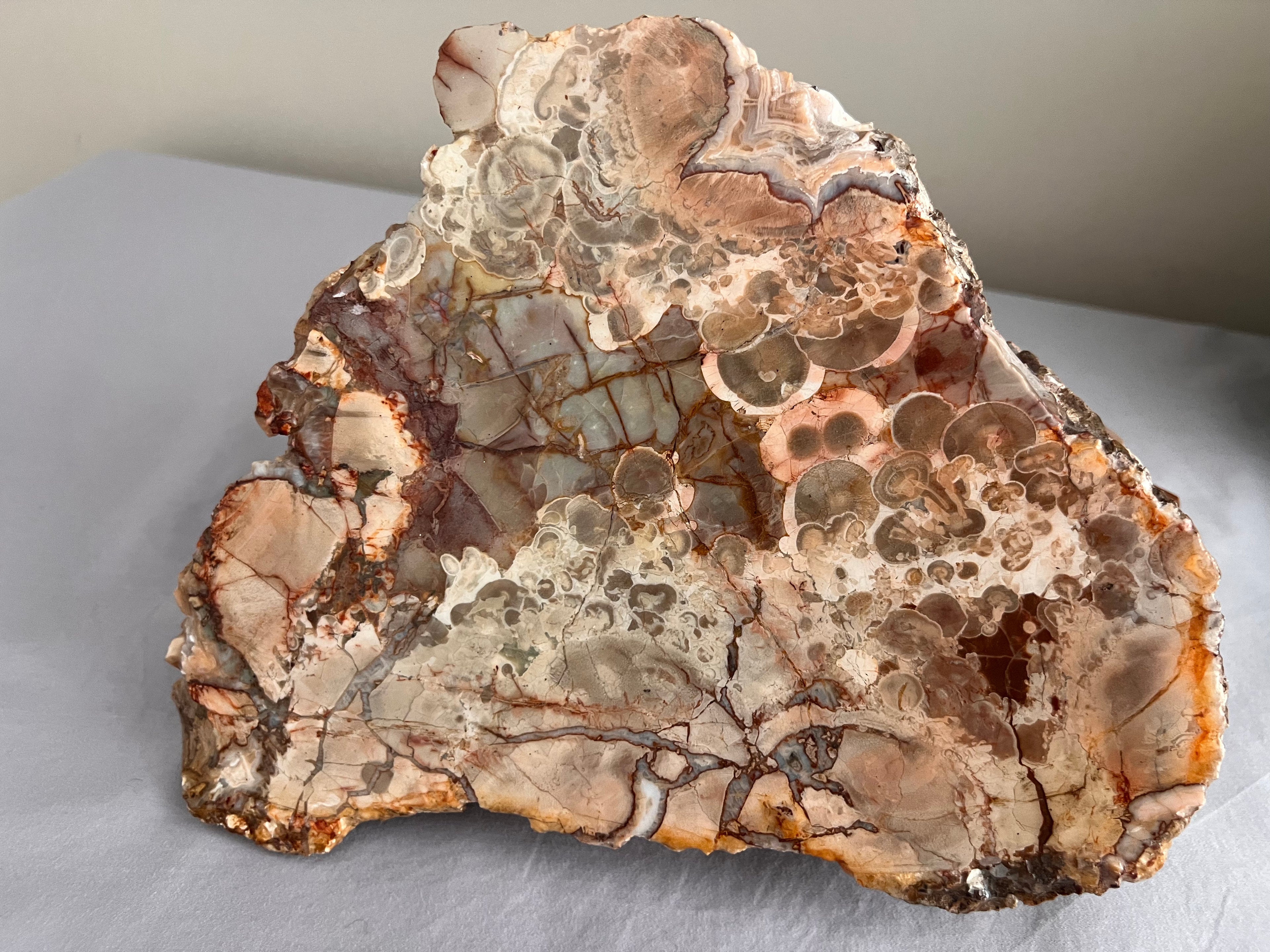 Australian Orbicular Agate Slab | Hand-Collected Queensland Gemstone