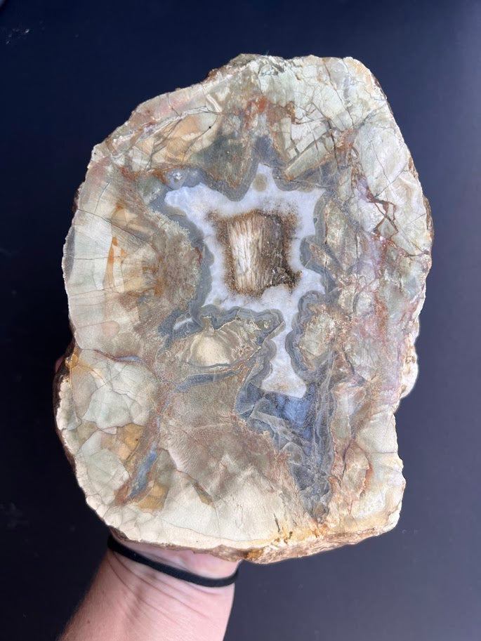 Premium Mount Hay Thunderegg – Queensland, Australia