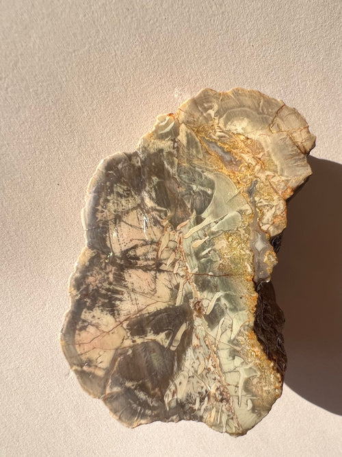 Australian Agate Display Slab – One-of-a-Kind Natural Artwork