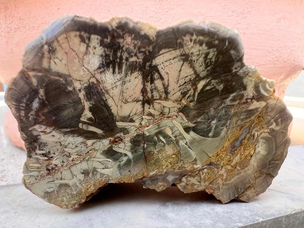 Australian Agate Display Slab – One-of-a-Kind Natural Artwork