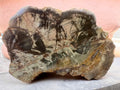 Australian Agate Display Slab – One-of-a-Kind Natural Artwork