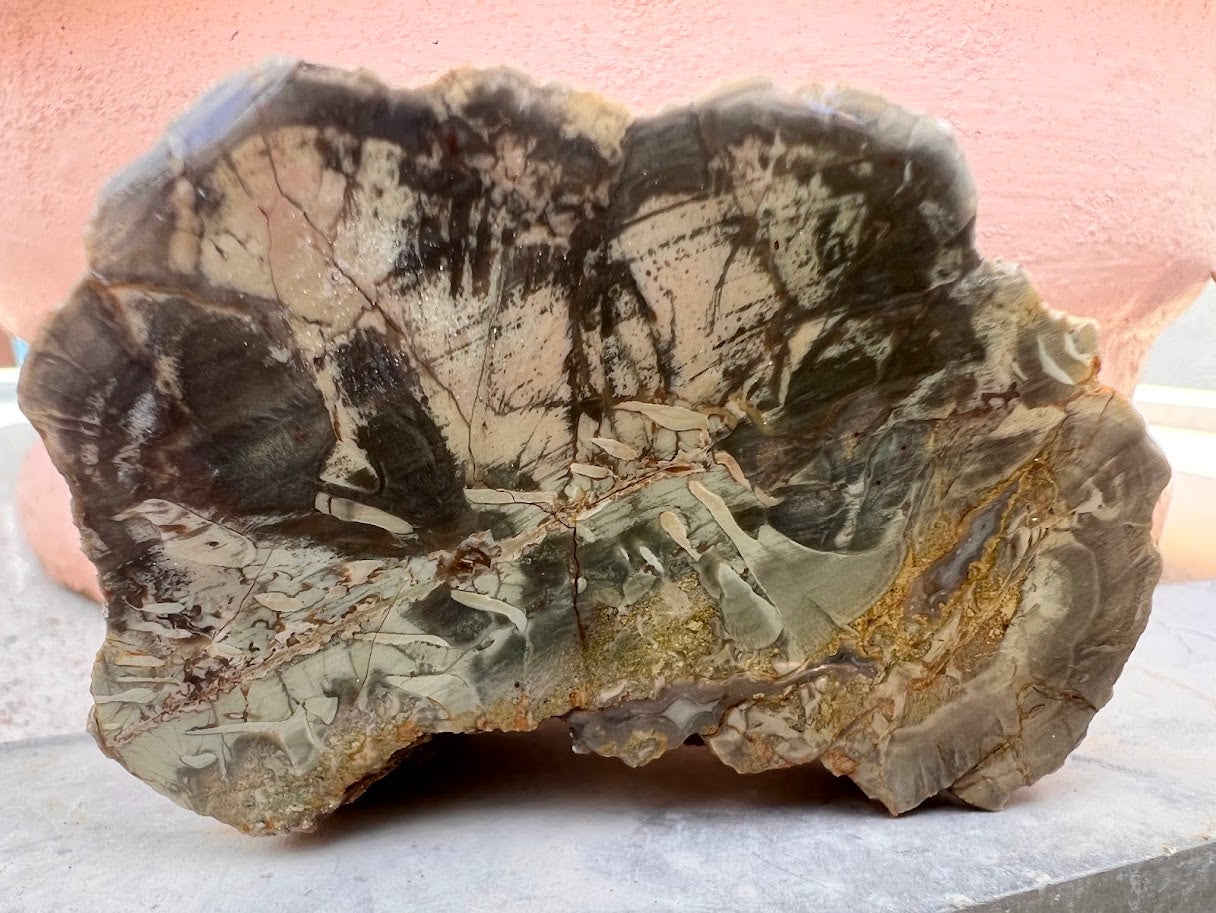 Australian Agate Display Slab – One-of-a-Kind Natural Artwork