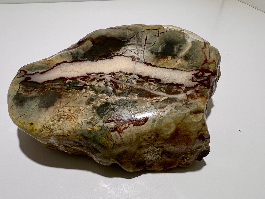 Thunderegg – Polished Display Specimen