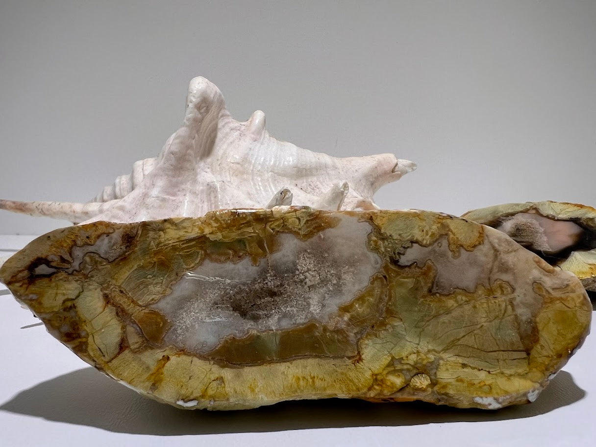 Genuine Queensland Thunderegg – Polished Display Pair