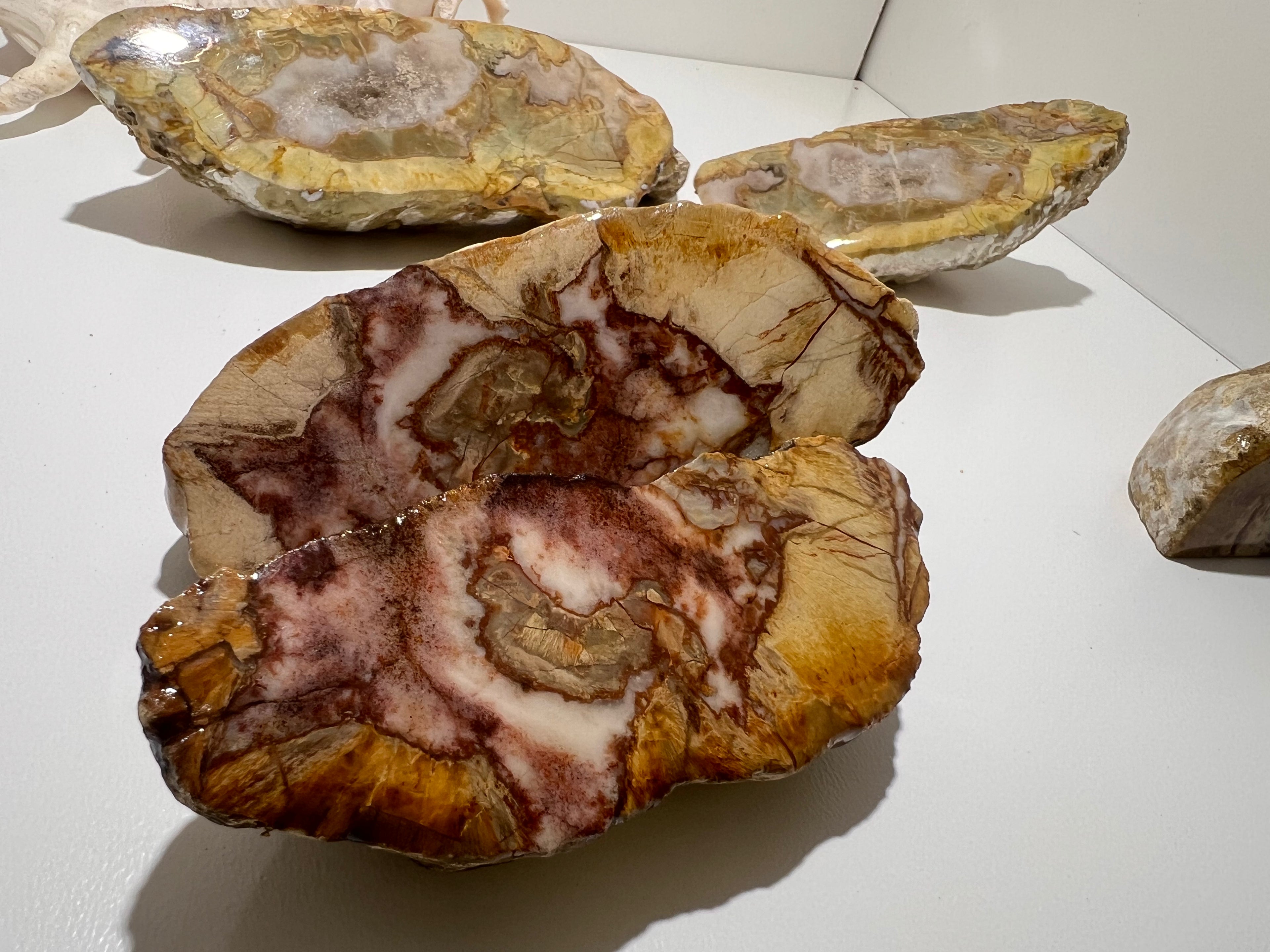 Premium Queensland Thunderegg – Polished Display Pair