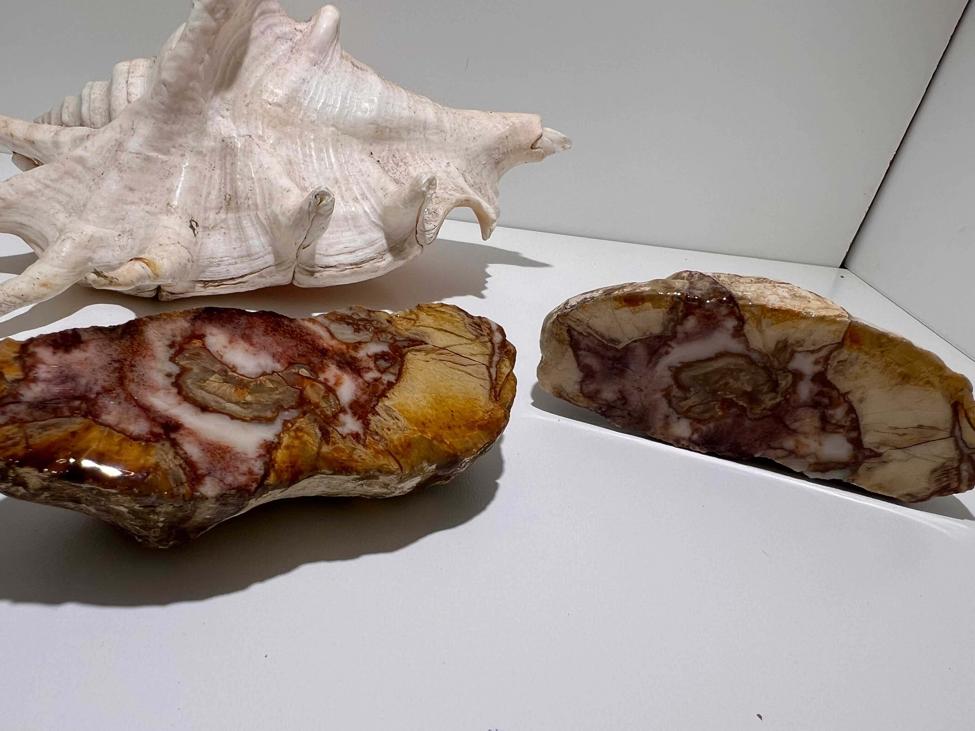 Premium Queensland Thunderegg – Polished Display Pair