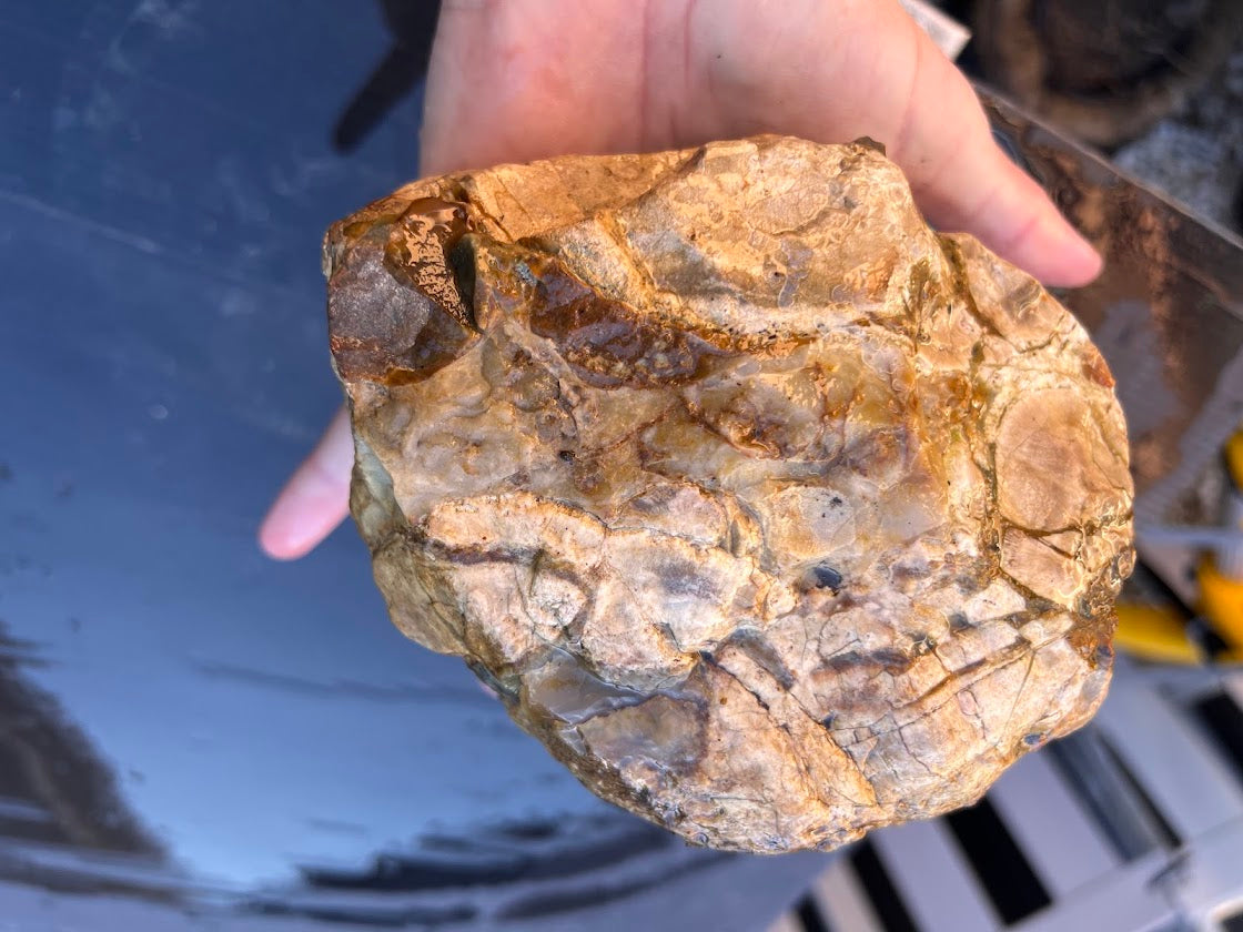 Agate Specimen – One-of-a-Kind Collector's Piece