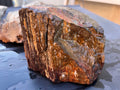 Australian Petrified Wood – Hand Collected Natural Fossil Specimen