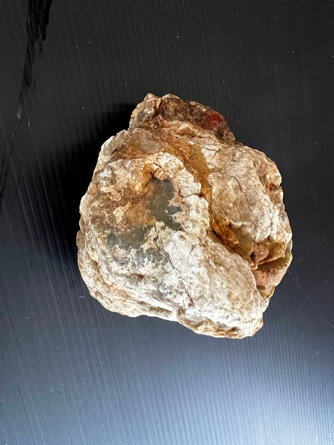 Uncut Australian Thunder Egg – Hidden Agate Inside? Hand Dug in Queensland