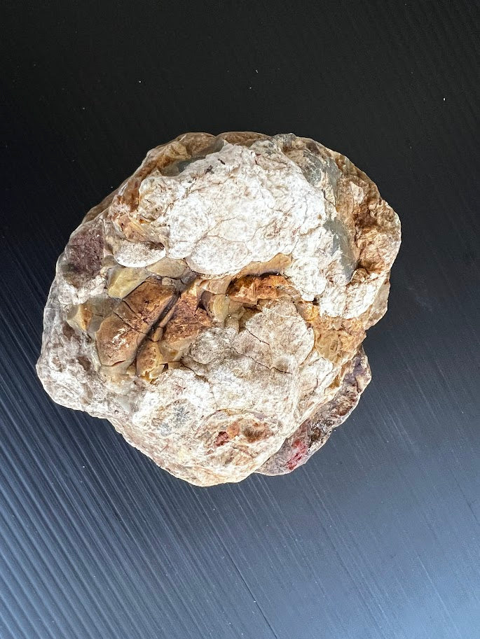 Uncut Australian Thunder Egg – Hidden Agate Inside? Hand Dug in Queensland