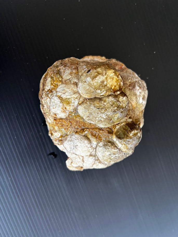 Uncut Australian Thunder Egg – Hidden Agate Inside? Hand Dug in Queensland