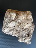 Raw Australian Agate Nodule – Uncut | Hand-Collected Queensland | One-of-a-Kind Specimen