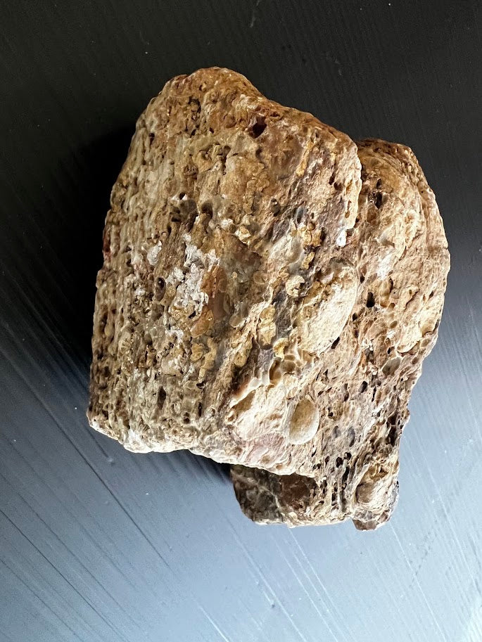 Raw Australian Agate Nodule – Uncut | Hand-Collected Queensland | One-of-a-Kind Specimen