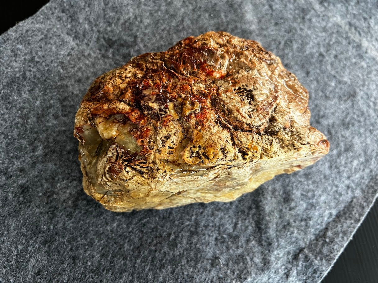Natural Australian Exposed Agate | Ironstone Patterns | Collector Specimen