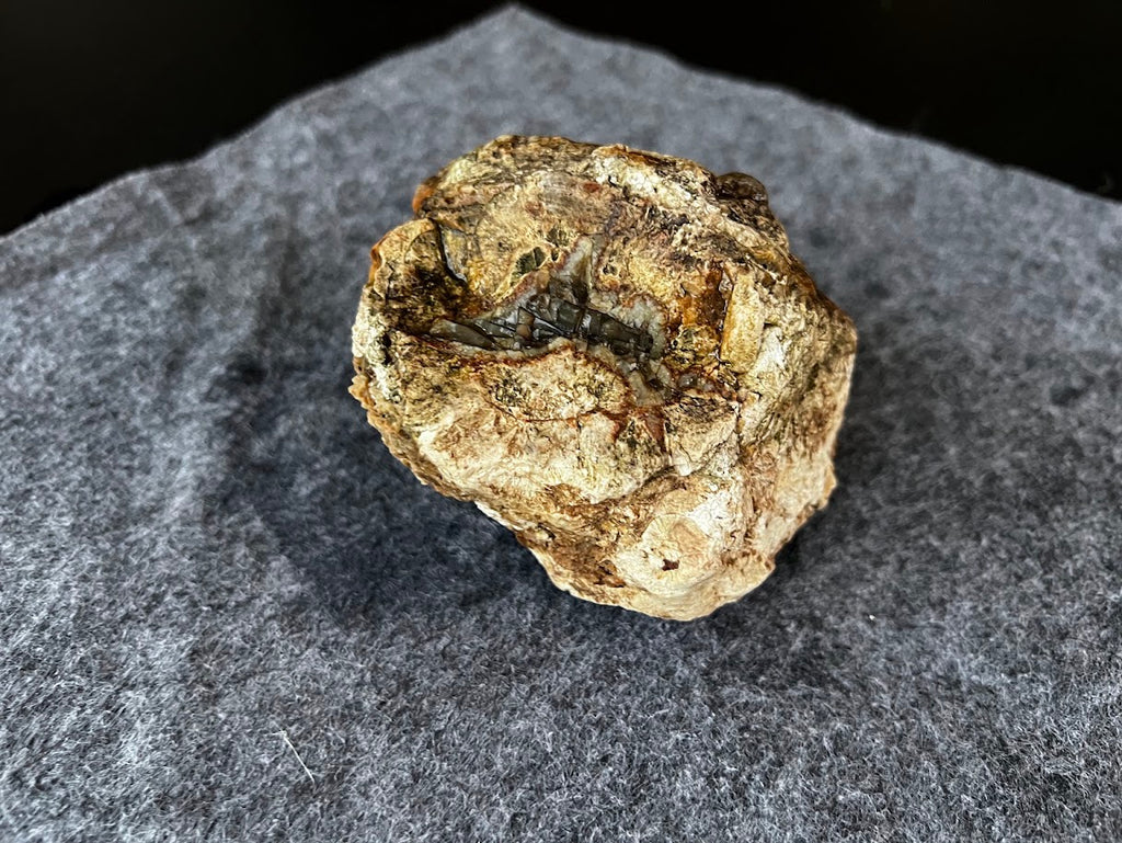 Tough & Authentic SEQ Agate