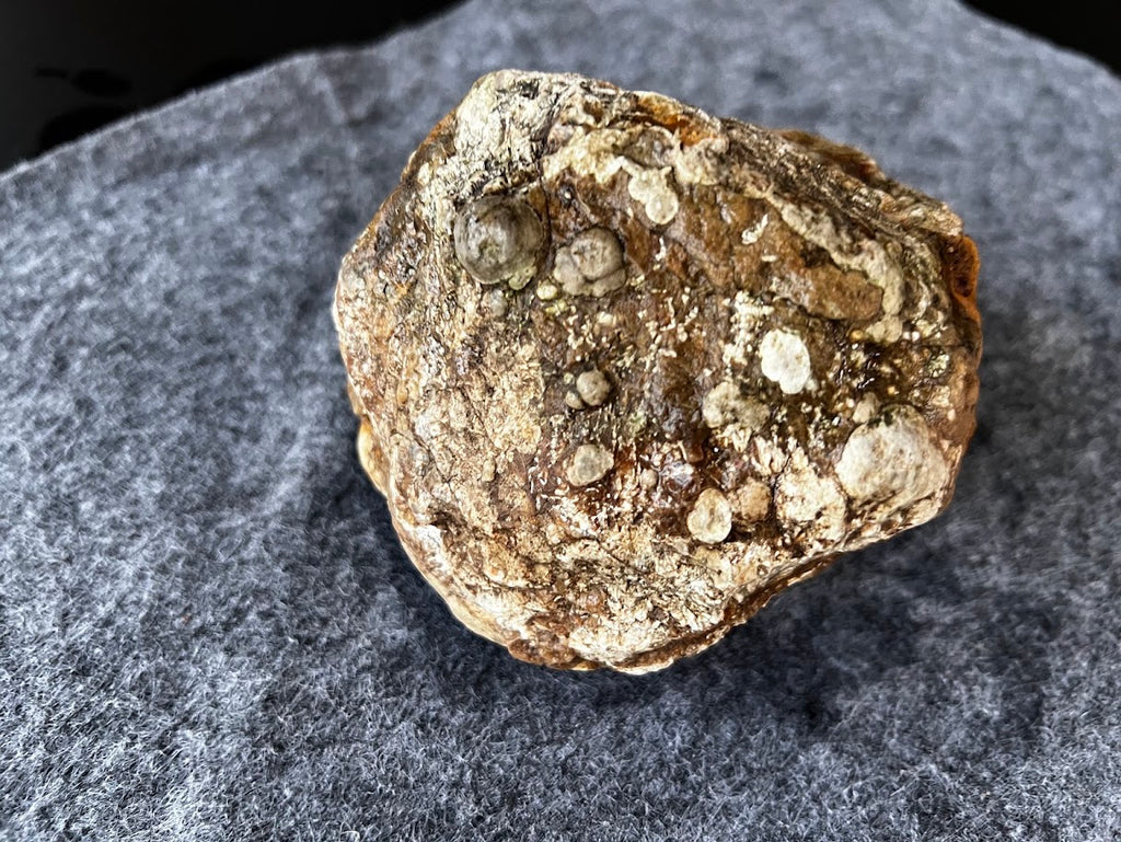 Tough & Authentic SEQ Agate