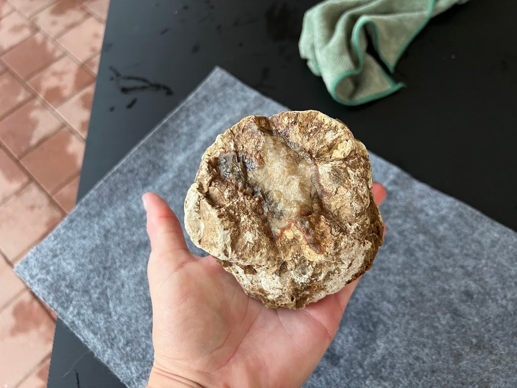 Large Natural Australian Thunderegg | Exposed Chalcedony | Collector's Piece