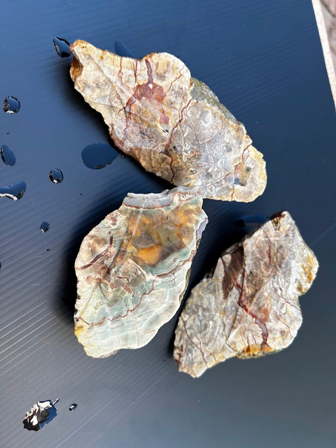Rough Australian Agate Stones – Hand-Dug in South East Queensland