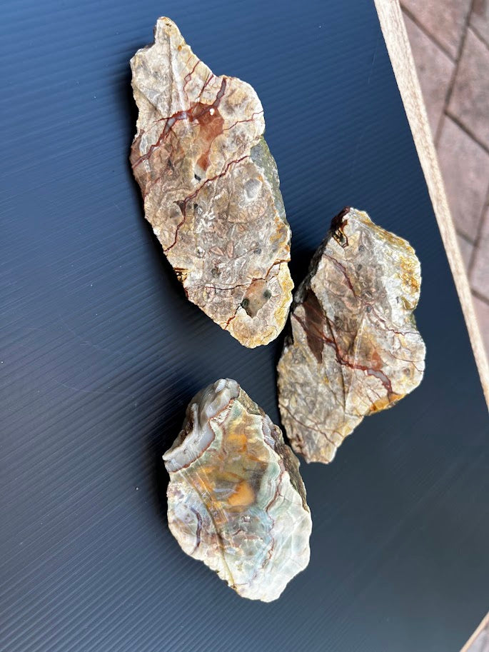 Rough Australian Agate Stones – Hand-Dug in South East Queensland