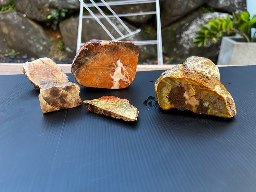 ROUGH Hand-Cut Australian Agate & Jasper Collection
