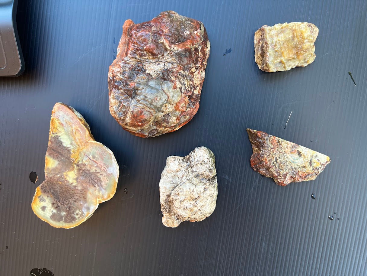 ROUGH Hand-Cut Australian Agate & Jasper Collection