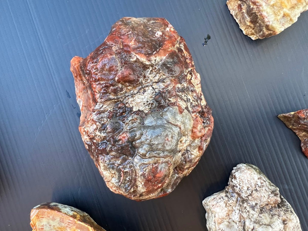 ROUGH Hand-Cut Australian Agate & Jasper Collection