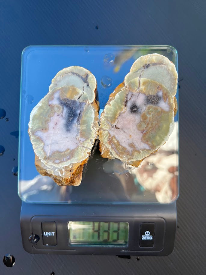 Matched pair of natural white and grey agate nodule slices on a scale showing 333g weight