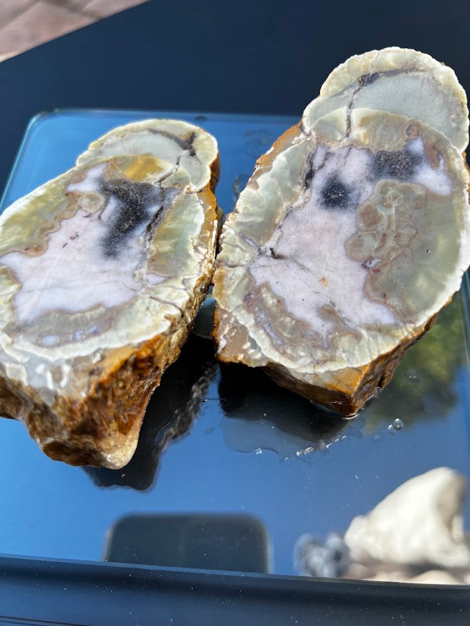 White & Grey Agate Nodule Slice Pair