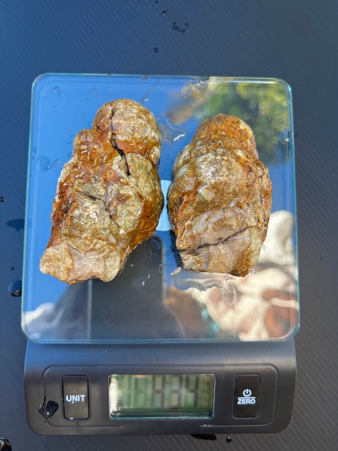 White & Grey Agate Nodule Slice Pair