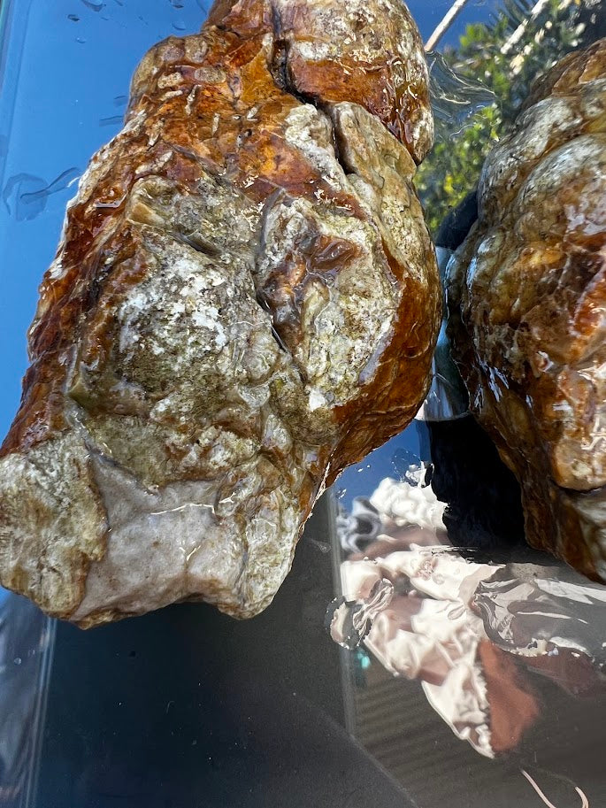 White & Grey Agate Nodule Slice Pair