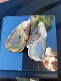 Matched pair of natural blue-green agate nodule slices with druzy interior and golden amber rind on a scale