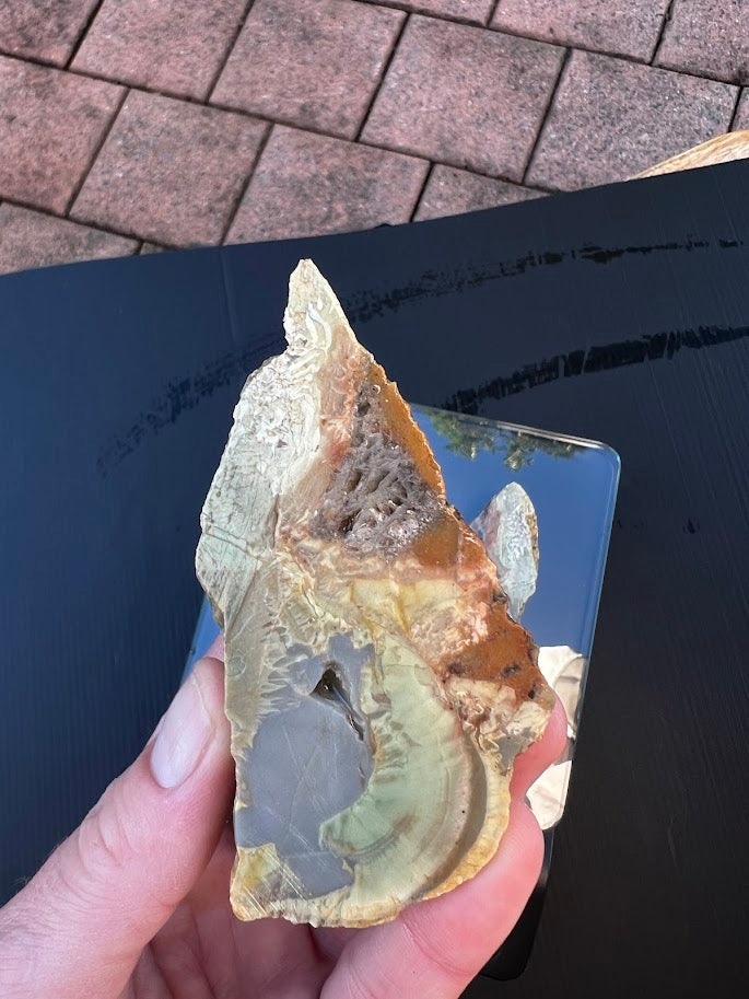 Blue-Green Agate Nodule Slice Pair