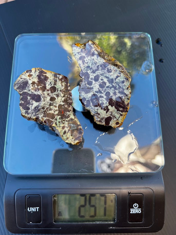 Matched pair of rare orbicular agate slices showing distinctive dark purple orb pattern on white and grey matrix, 257g
