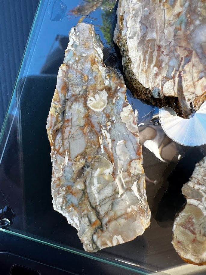 Raw Chalcedony Agate Nodule Collection — Set of 4