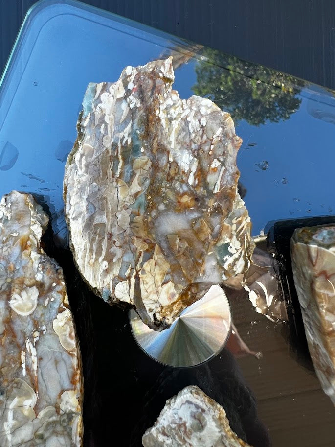 Raw Chalcedony Agate Nodule Collection — Set of 4