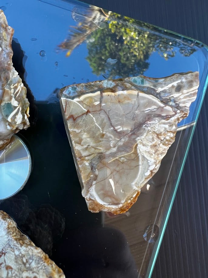 Raw Chalcedony Agate Nodule Collection — Set of 4