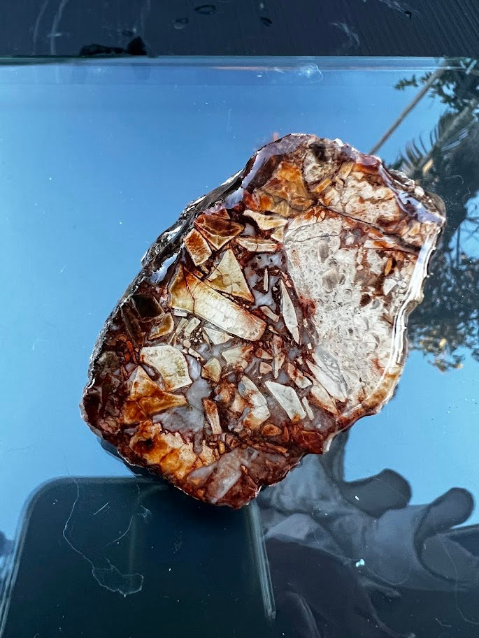 Polished brecciated agate slice showing dramatic angular mosaic pattern in deep amber, chocolate brown and cream chalcedony