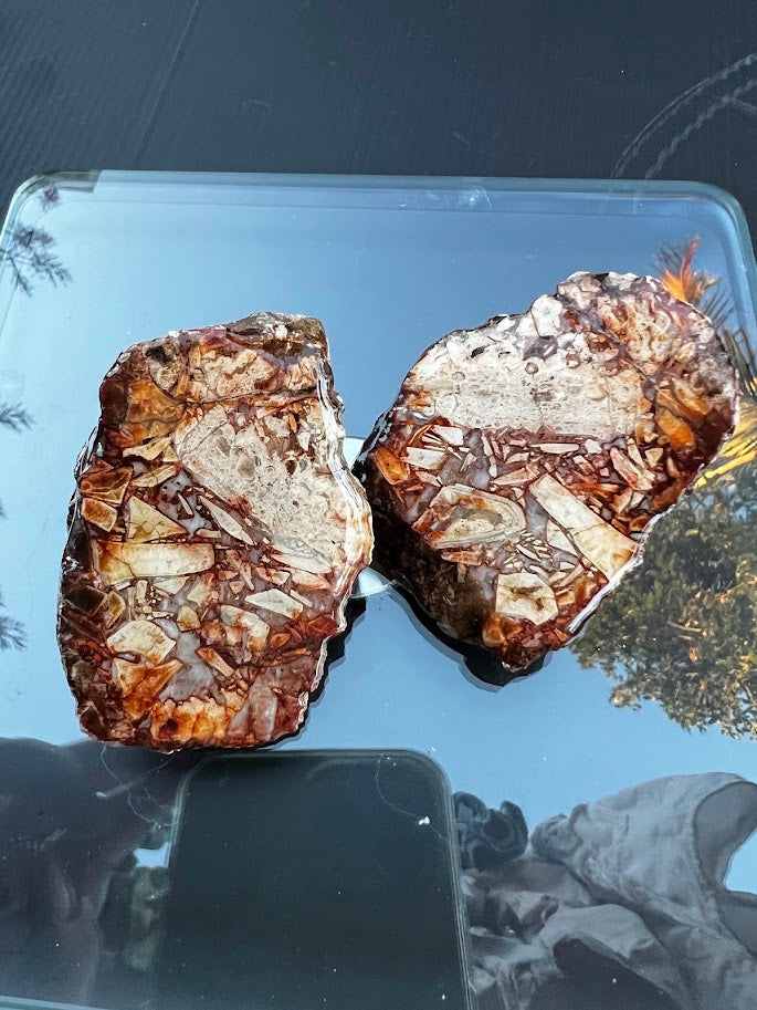 Brecciated Agate Slice Pair