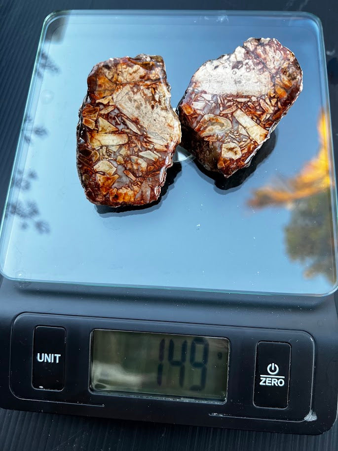Brecciated Agate Slice Pair