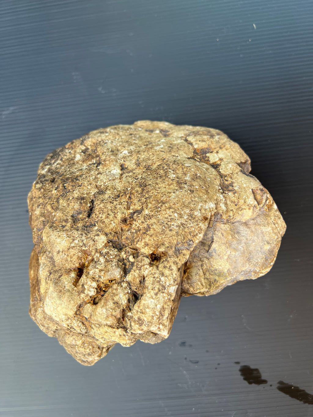Rare Hand-Dug Quartz & Ironstone Formation | One-of-a-Kind Collector’s Rock