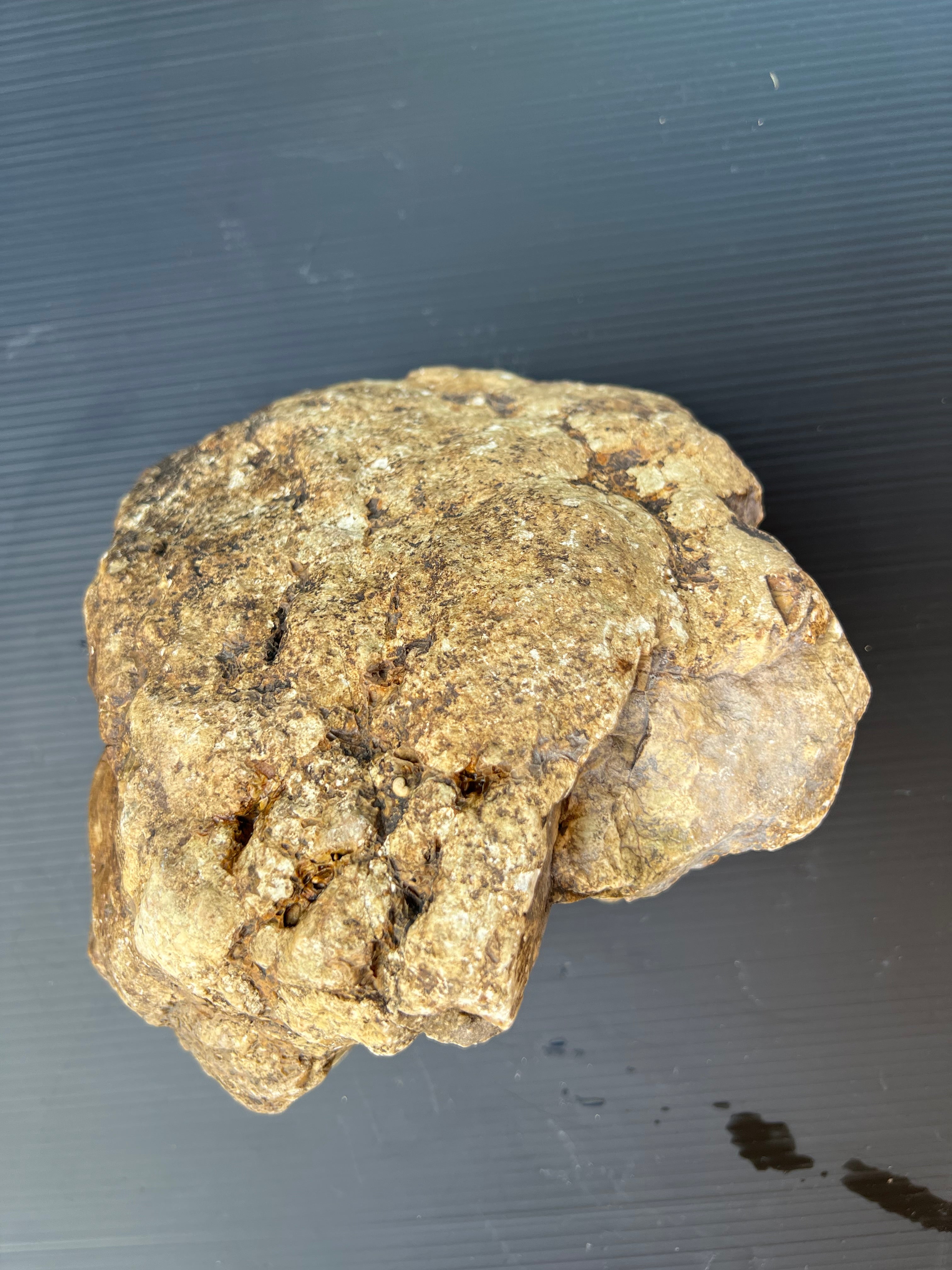 Rare Hand-Dug Quartz & Ironstone Formation | One-of-a-Kind Collector’s Rock