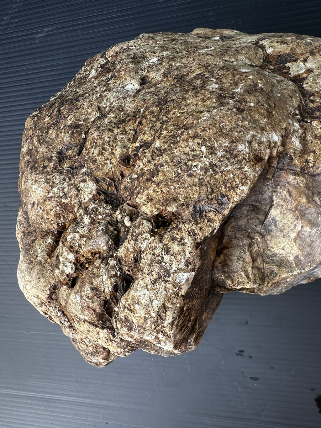 Rare Hand-Dug Quartz & Ironstone Formation | One-of-a-Kind Collector’s Rock