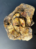 Rare Hand-Dug Quartz & Ironstone Formation | One-of-a-Kind Collector’s Rock