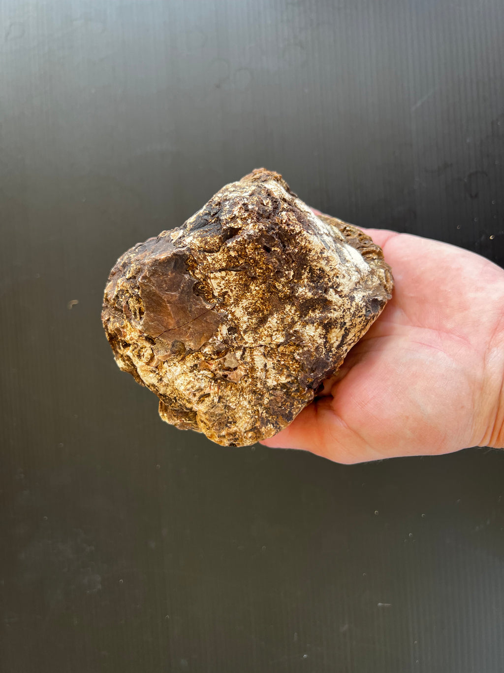 Hand-Dug Quartz & Ironstone Natural Specimen  One-of-a-Kind Australian Collector’s Piece
