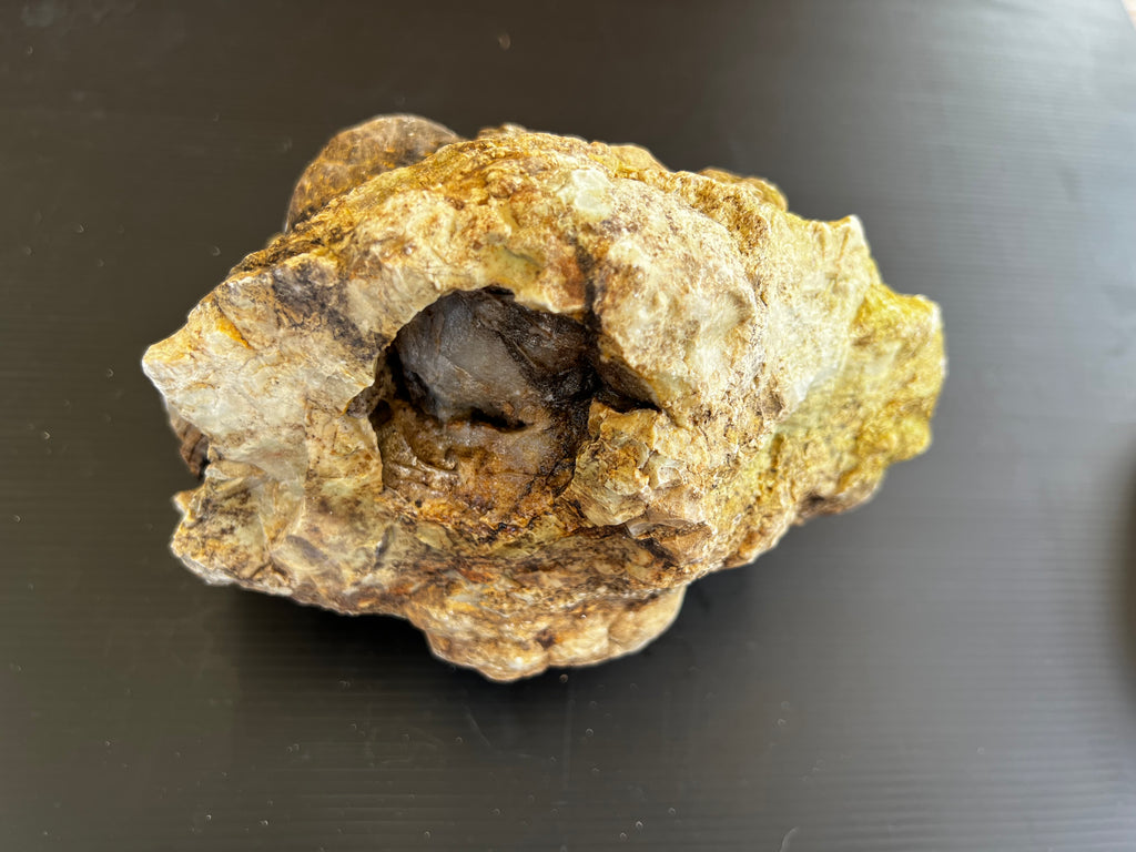 🪨 Hand-Dug Quartz Nodule with Natural Crystal Cavity